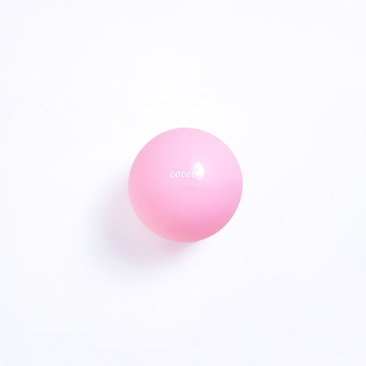Pilates Mini Ball (Pump Included)